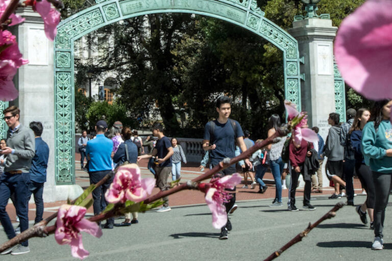 Spring UCB Sather Gate